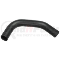 Rad hose, lwr