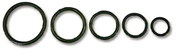 O-ring sett an10
