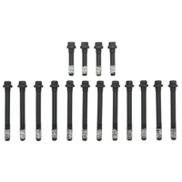 Head bolt set