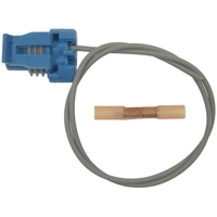 Socket