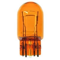 Bulb