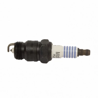 Spark plug