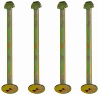 Pin brake shoe hold down