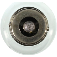 Bulb