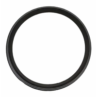 Pakning termostat chevy 4,3l 1,560"