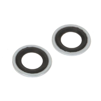Ac compressor seals