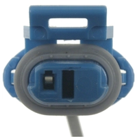 Socket