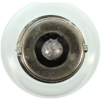 Bulb