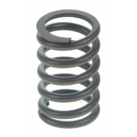 Valve springs