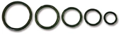 O-ring sett an8