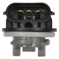 Socket