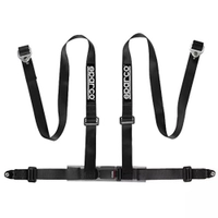 Belt, 4pt