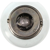Bulb