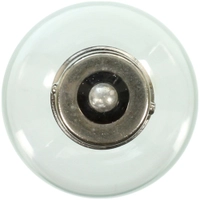 Bulb