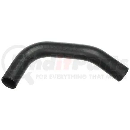 Rad hose, lwr