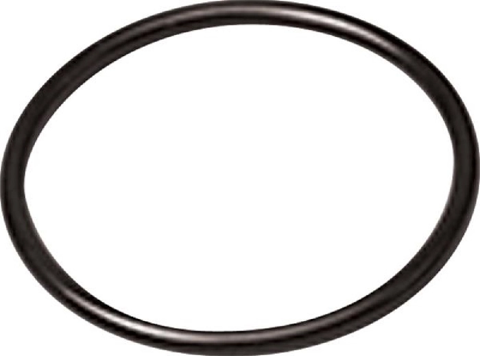 O-ring assy