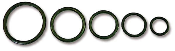 O-ring sett an10