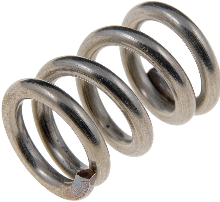 Manifold spring