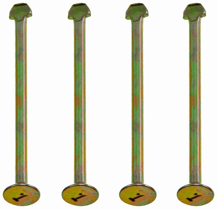 Pin brake shoe hold down