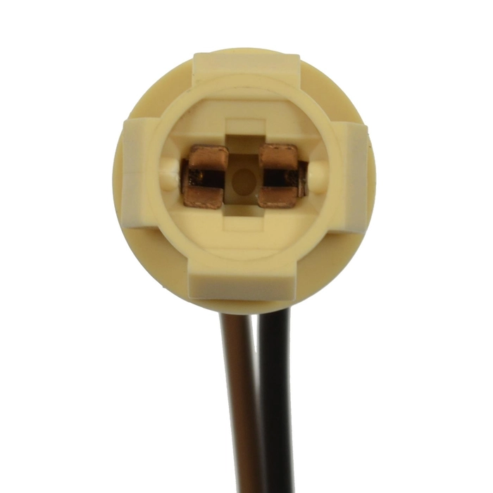 Socket