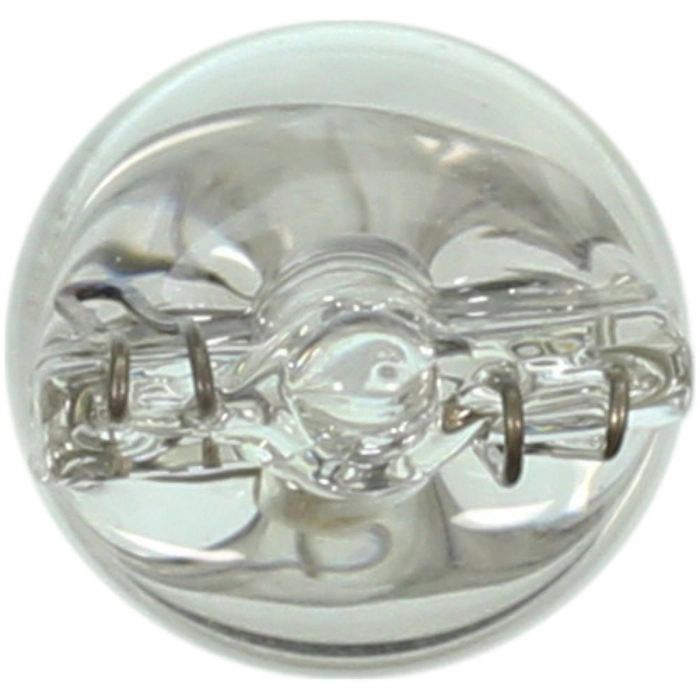 Bulb