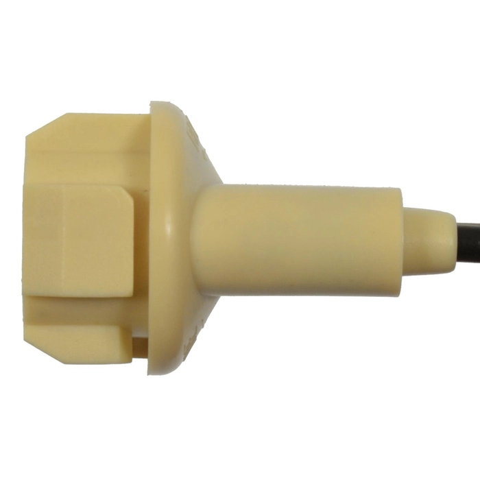 Socket