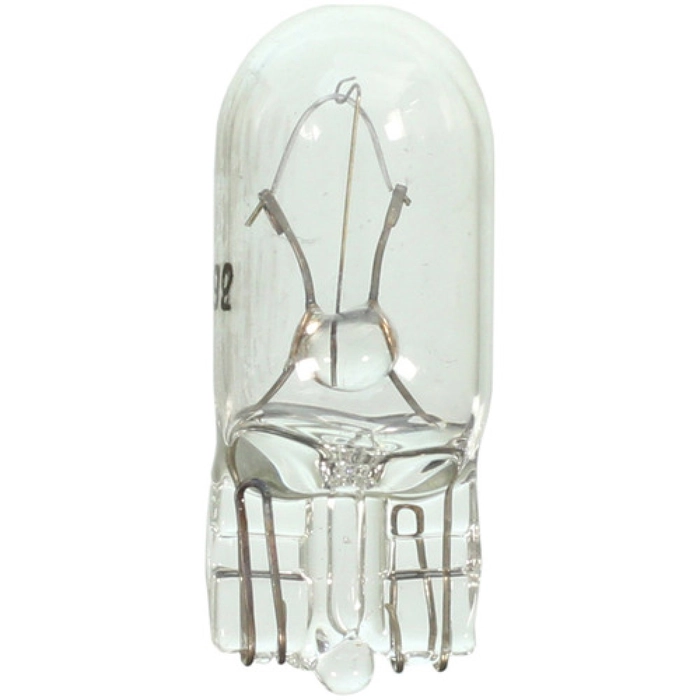 Bulb