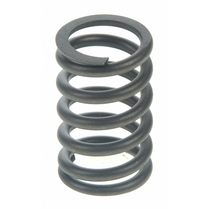 Valve springs