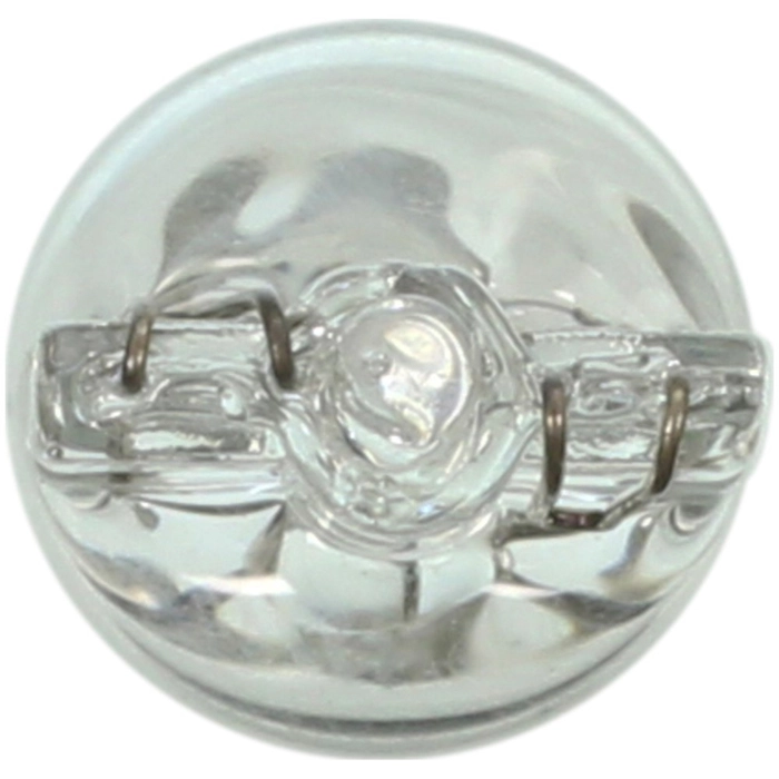 Bulb