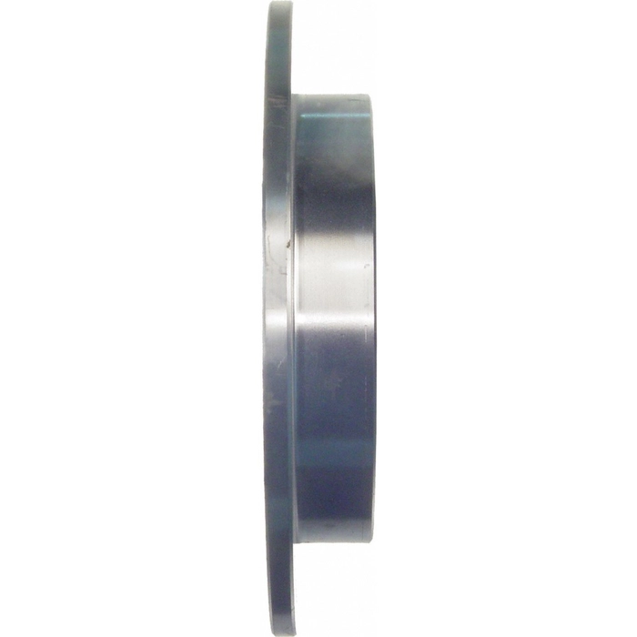 Bremseskive bak gm 01-07