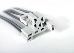 Connector/12101894