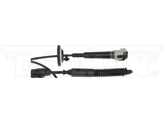 Shifter cable