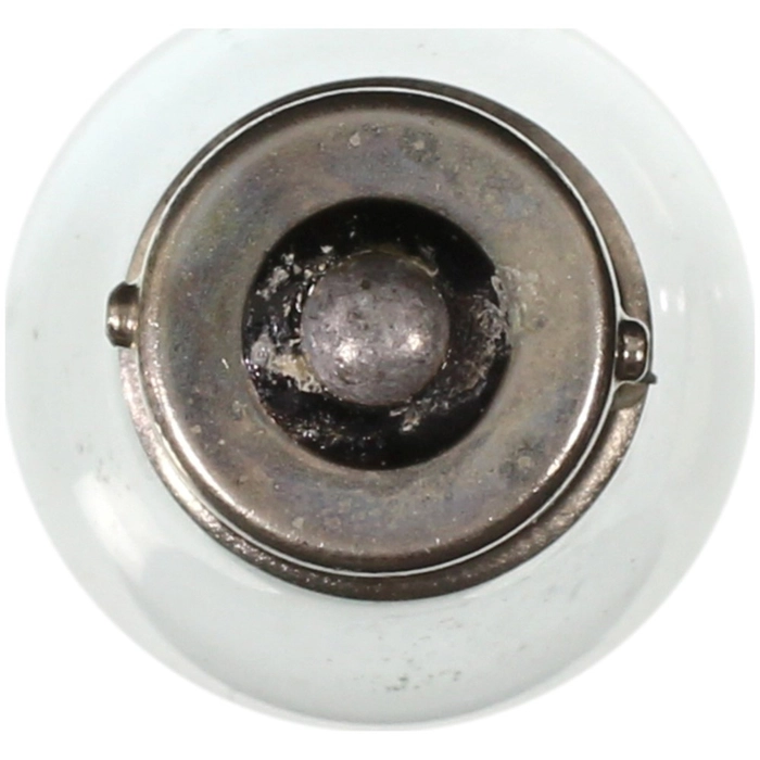 Bulb